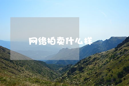 网络拍卖什么样 网络拍卖什么样