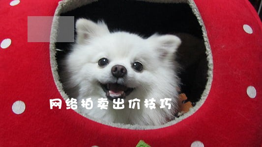 网络拍卖出价技巧