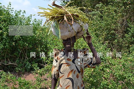 网络拍卖尾款缴纳时间 网络拍卖尾款缴纳时间