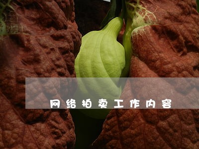 网络拍卖工作内容