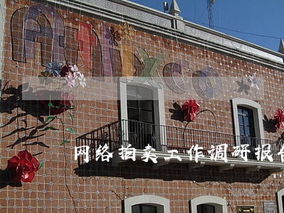 网络拍卖工作调研报告 网络拍卖工作调研报告