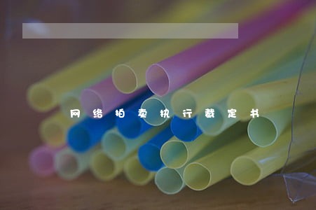 网络拍卖执行裁定书 网络拍卖执行裁定书