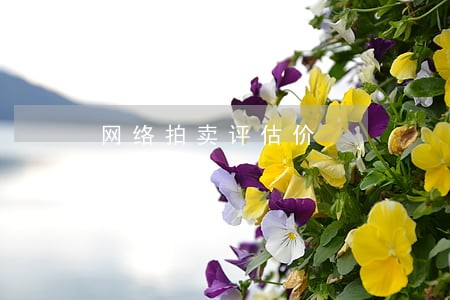 网络拍卖评估价 网络拍卖评估价
