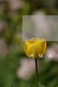 网络拍卖谁获益 网络拍卖谁获益