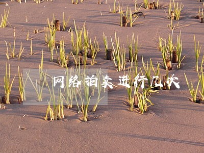 网络拍卖进行几次