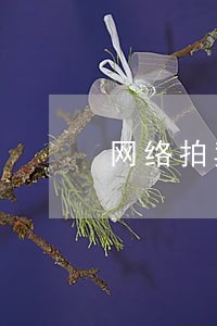 网络拍卖违法
