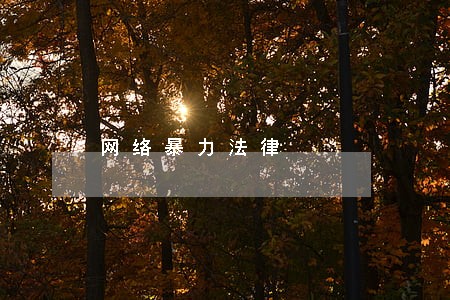 网络暴力法律 网络暴力法律