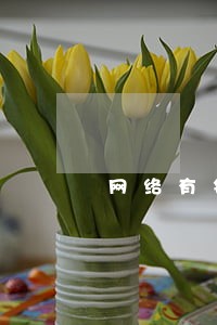网络有钱花逾期几天会上门吗