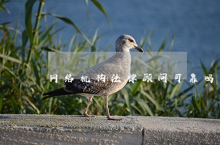 网络机构法律顾问可靠吗 网络机构法律顾问可靠吗