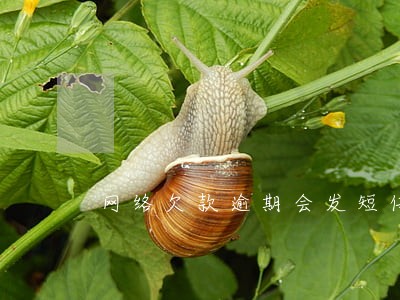 网络欠款逾期会发短信给家里人吗 网络欠款逾期会发短信给家里人吗