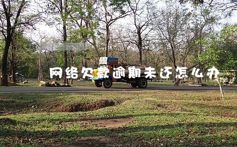 网络欠款逾期未还怎么办 网络欠款逾期未还怎么办