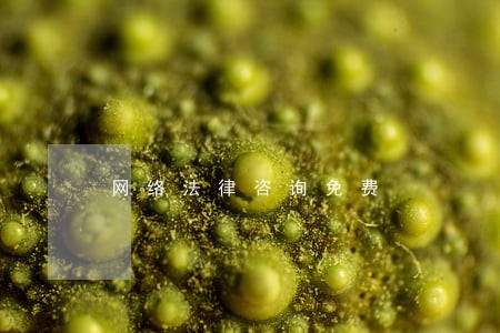 网络法律咨询免费 网络法律咨询免费