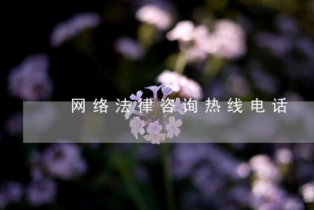 网络法律咨询热线电话 网络法律咨询热线电话