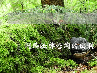 网络法律咨询的便利 网络法律咨询的便利
