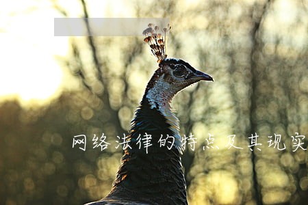 网络法律的特点及其现实意义 网络法律的特点及其现实意义
