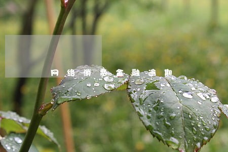网络消费金融逾期 网络消费金融逾期
