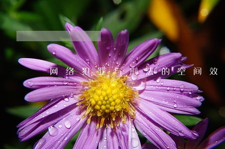 网络犯罪与刑法的空间效力原