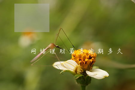 网络理财最多逾期多久 网络理财最多逾期多久