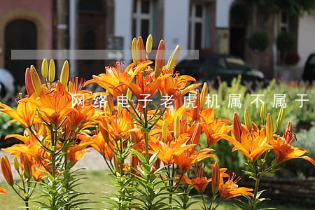 网络电子老虎机属不属于违法赌博 网络电子老虎机属不属于违法赌博