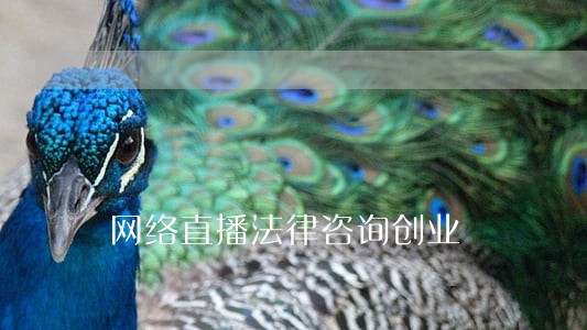 网络直播法律咨询创业