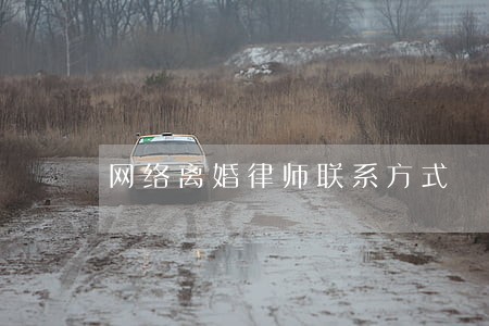 网络离婚律师联系方式 网络离婚律师联系方式