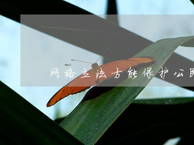 网络立法方能保护公民权益 网络立法方能保护公民权益