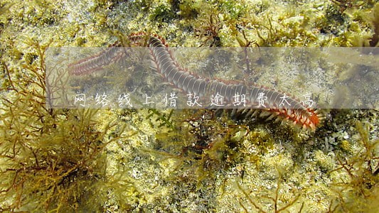 网络线上借款逾期费太高 网络线上借款逾期费太高