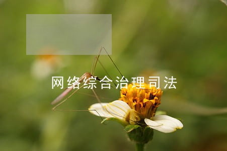 网络综合治理司法 网络综合治理司法