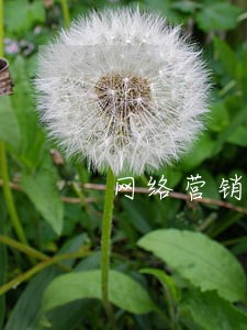 网络营销债务律师联系方式 网络营销债务律师联系方式