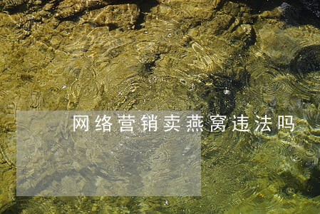 网络营销卖燕窝违法吗 网络营销卖燕窝违法吗