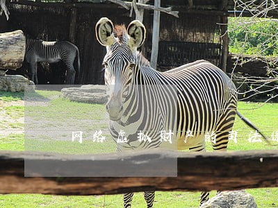 网络虚拟财产的司法保护现状