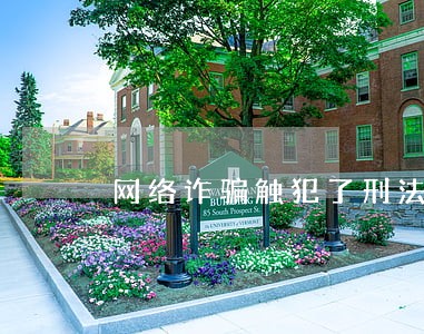 网络诈骗触犯了刑法多少条