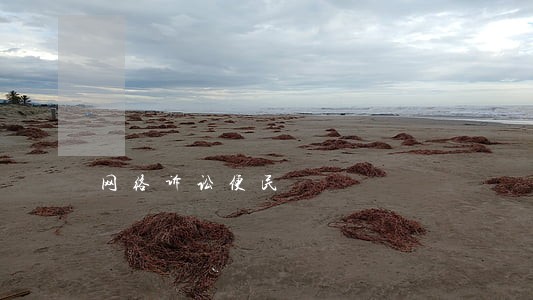 网络诉讼便民 网络诉讼便民