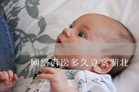 网络诉讼多久立案湖北 网络诉讼多久立案湖北