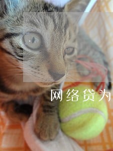 网络贷为什么一直发逾期信息来