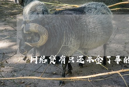 网络贷有只还本金了事的吗 网络贷有只还本金了事的吗