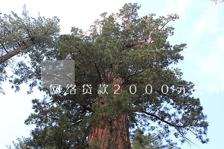 网络贷款2000元长时间逾期
