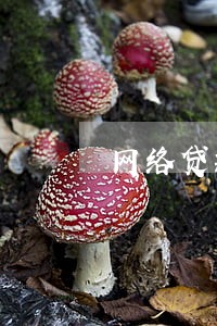 网络贷款2万逾期不还的后果 网络贷款2万逾期不还的后果