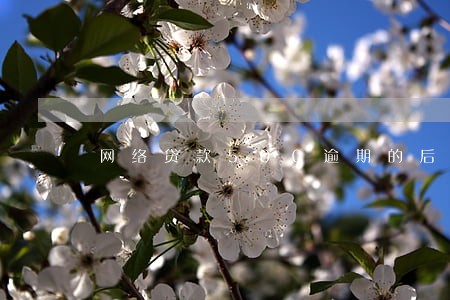 网络贷款500逾期的后果 网络贷款500逾期的后果