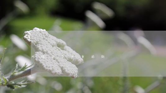 网络贷款严重逾期 网络贷款严重逾期