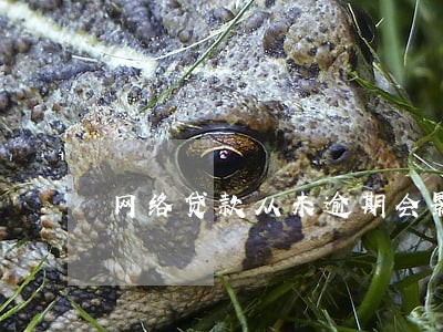 网络贷款从未逾期会影响信用 网络贷款从未逾期会影响信用