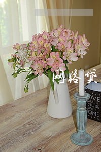 网络贷款会故意让你逾期吗 网络贷款会故意让你逾期吗
