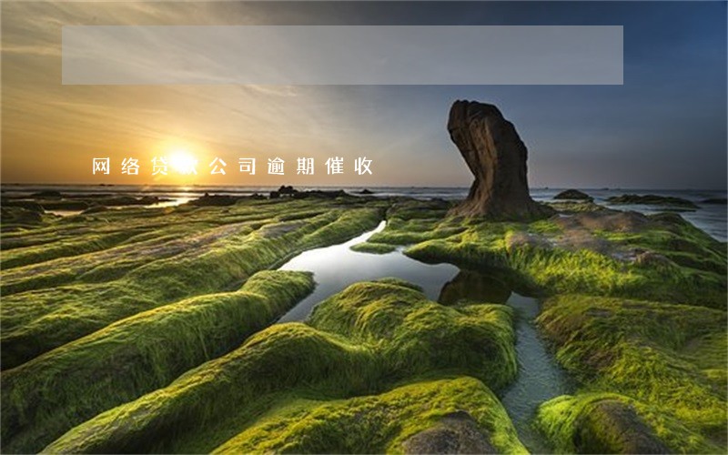 网络贷款公司逾期催收 网络贷款公司逾期催收