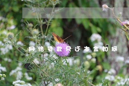 网络贷款只还本金如何 网络贷款只还本金如何