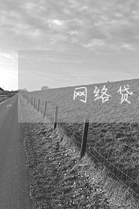 网络贷款多次逾期 网络贷款多次逾期