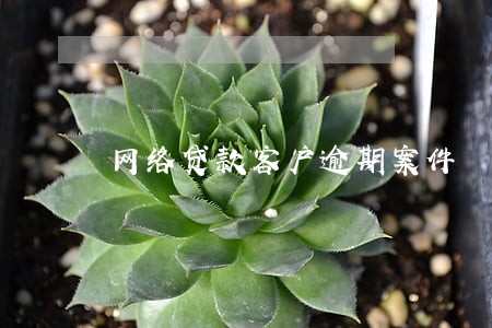 网络贷款客户逾期案件