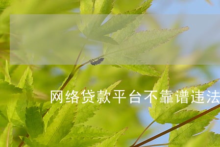 网络贷款平台不靠谱违法排名 网络贷款平台不靠谱违法排名