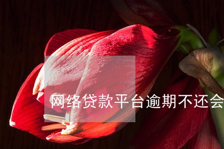 网络贷款平台逾期不还会怎么办 网络贷款平台逾期不还会怎么办