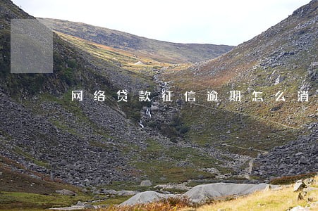 网络贷款征信逾期怎么消除 网络贷款征信逾期怎么消除