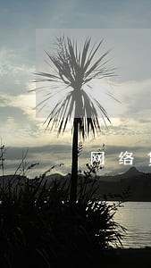 网络贷款征信逾期记录多久消除 网络贷款征信逾期记录多久消除